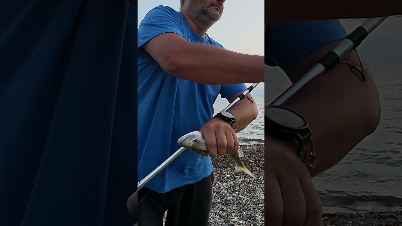Surfcasting action & Catch and Release!