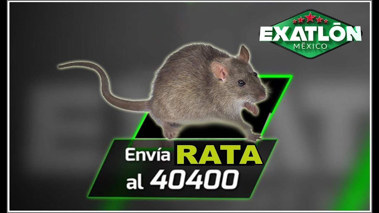 RATA AL 40400 🔥 Exatlón México Votación Maestra #TeamFamosos # ...