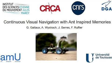Continuous Visual Navigation with Ant Inspired Memories