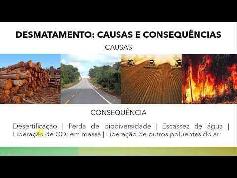 Problemas Ambientais: Bioma Mata Atlântica