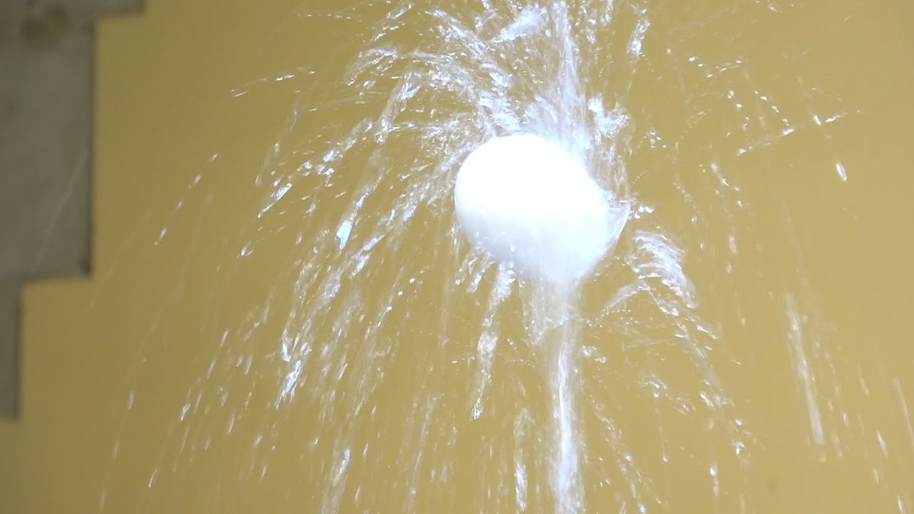 L'ou com balla. 2021