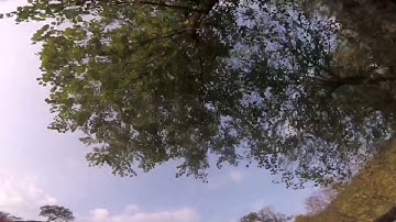 Fpv Freestyle💥Apex Frame With Gopro Session 4