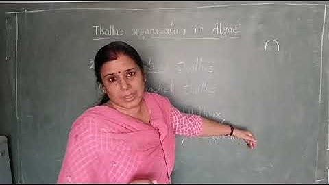 Thallus organization in algae by Dr. Manju Choudhary