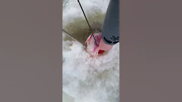Судак 10 кг