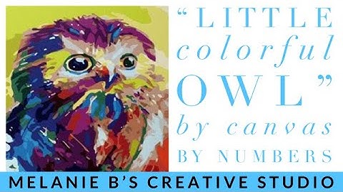LEGIT OR SCAM?! CANVAS BY NUMBERS "Little Colorful Owl" #paintbynumbers #legitorscam #PBN