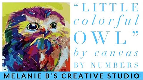 LEGIT OR SCAM?! CANVAS BY NUMBERS "Little Colorful Owl" #paintbynumbers #legitorscam #PBN