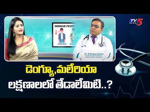 Health Care : Dengue Fever Treatment | Dr. B Krupan Kumar Suggestions | Apollo Hospitals | Tv5 - TV5NEWS