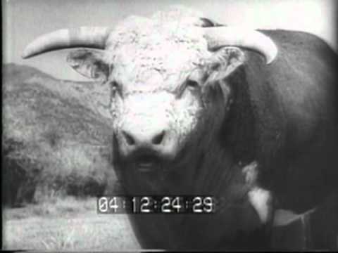 Seth Price — Summer of Hate, Seth Price, 1998