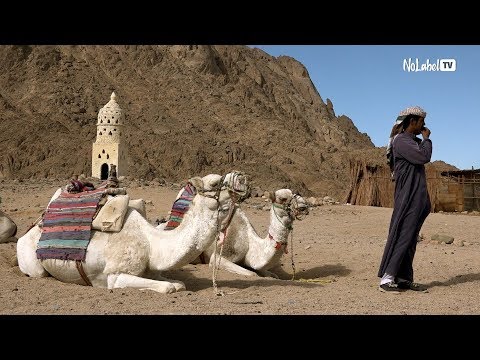Video: Jak žijí Beduíni