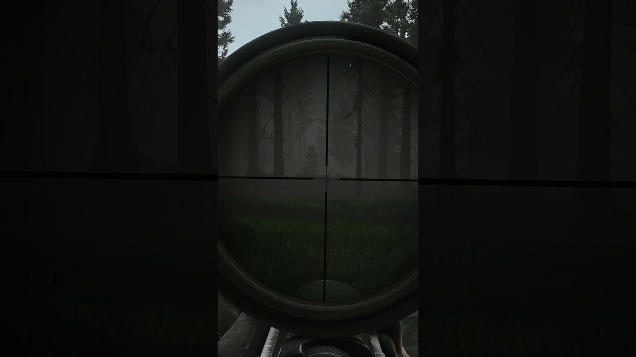 The Lucky No Scope #eft #escapefromtarkov #tarkov #pvp #woods #sniper #sniping #m700