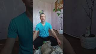 единственная действительно важная задача каждого человека #силасознания #предназначение #кошкасоня