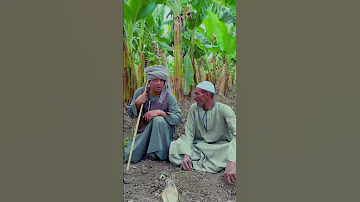 الحاج الضوى عاوز اغير اسم مراتى 