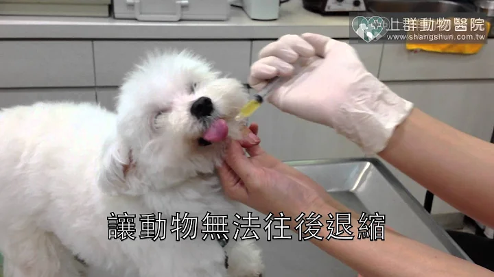 如何餵動物吃藥水.mov - 天天要聞