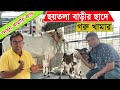 ৬ তলা বাড়ির ছাদে ৫ বছরে প্রায় ১৫০ গরু মোটাতাজা করে সফল এই গরুর খামার মালিক। গরু পাগলের পাগলামি !!