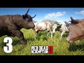 ESTOURO DE BOIADA 3, fugindo com as vacas - Red Dead Redemption 2