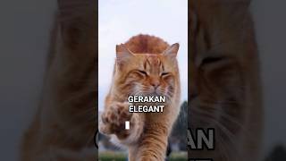 Fakta Kucing yang Bikin Kamu Makin Kagum! #shorts #kucing #cat