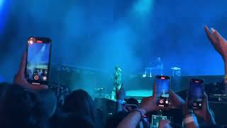 Download Lagu idontwannabeyou- Billie Eilish (live from Coachella) MP3 Download Lagu idontwannabeyou- Billie Eilish (live from Coachella) MP3