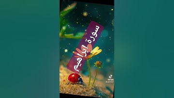 سورة ابراهيم #دويتو #دعاء #حالات_واتس #تيك_توك #دعاءمستجاب #quran #لايك #اكسبلور #duet # قران