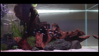 The 90P Aquascape Hardscape Malaysia in 4K