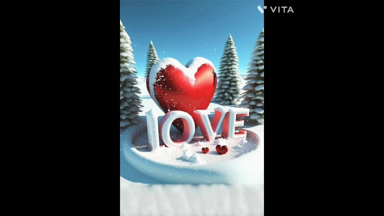 best beautiful 🌹🌹rose flower status 