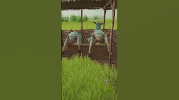 The Drakka are generally peaceful, as long as you don