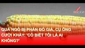 Quả ngô Bị Phán Đồ Giả, Cụ Ông Cười Khẩy: 