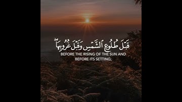 فأصبر على ما يقولون القارئ هيثم الدخين