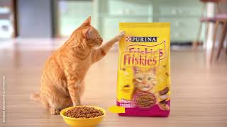 Friskies | Refeições divertidas em cada pacote