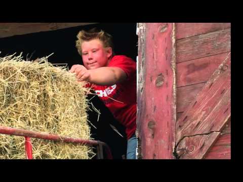 No Child Left Behind