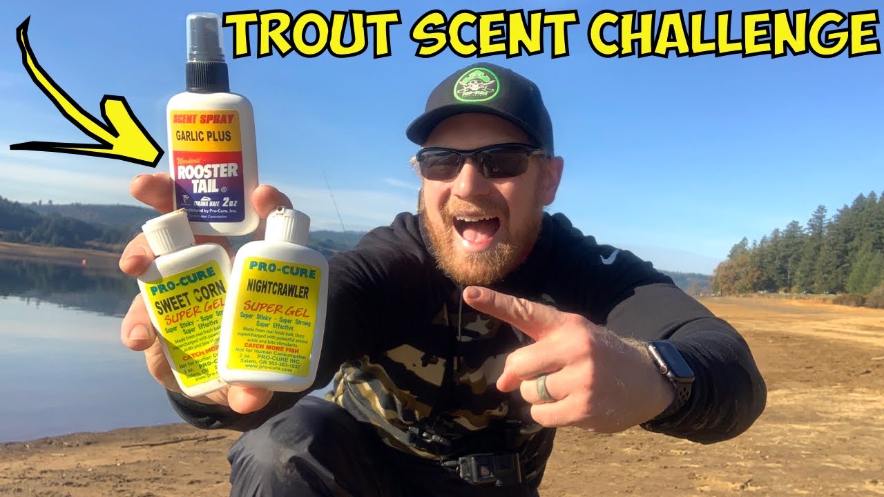 FALL Stocked TROUT Fishing SCENT CHALLENGE (Which Scent Is BEST