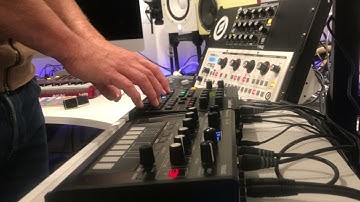 Analog Synth Jam número uno - Elektron Digitakt - Toraiz - Moog Minitaur and Slim Phatty