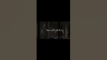 القارئ :- عبد البديع غيلان