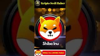 Kripto Sesli Haber Shytoshi Kusama, Shibarium Telegram Kanalını Kapattı Resimi