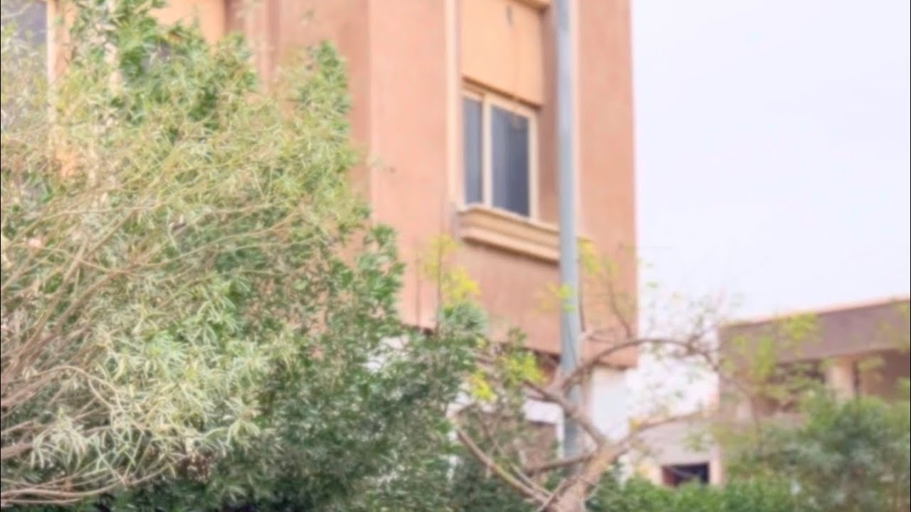 كما تدين تدان ..!