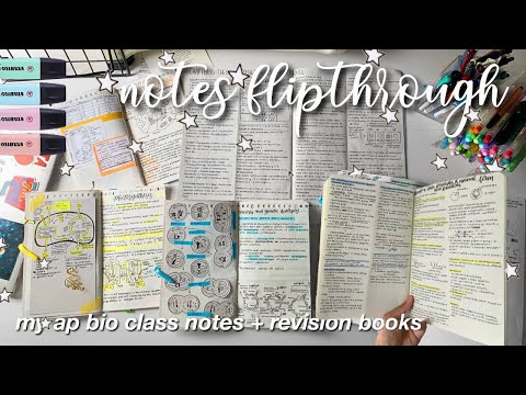 a flip through of my notes + tips on notetaking