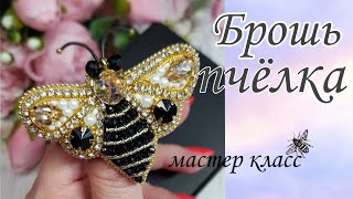 видео: Брошь ПЧЁЛКА /мастер класс/BEE brooch made of beads and beads #брошьпчела #брошьпчелка #брошьжужа картинка: Брошь ПЧЁЛКА /мастер класс/BEE brooch made of beads and beads #брошьпчела #брошьпчелка #брошьжужа