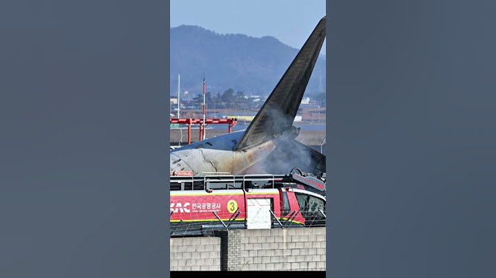 Tragedia en Corea del Sur: Accidente de Jeju Air Deja al Menos 47 Muertos y Cifra Podría Aumentar