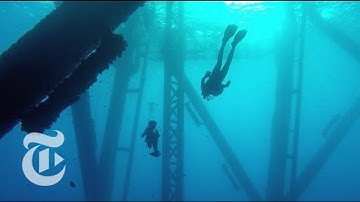 Turning Oil Rigs Into Reefs | The New York Times