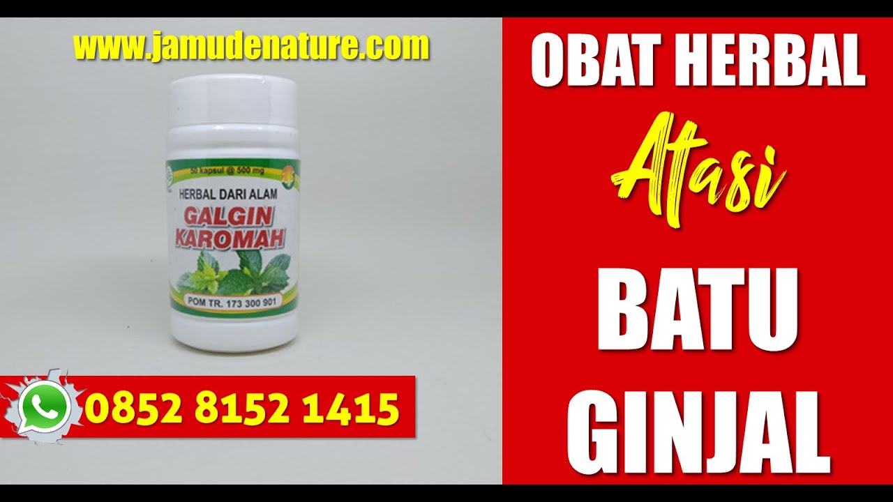 OBAT BATU GINJAL ALAMI GALGIN KAROMAH OBAT BATU GINJAL / KENCING