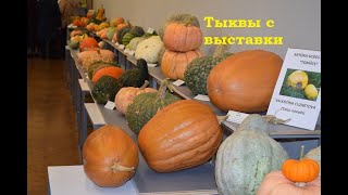 видео: Выставка тыквы в Риге .Что выросло у меня. 2019 картинка: Выставка тыквы в Риге .Что выросло у меня. 2019