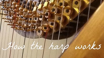 How Does the Harp Work? | Pedals, Strings & Mechanism Explained
