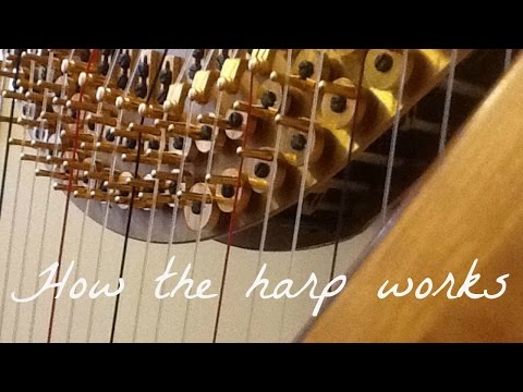 Harp Lesson  How the harp works