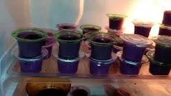 CARA MEMBUAT PUDING UBI UNGU (TUTORIAL) - Durasi: 3.07. 