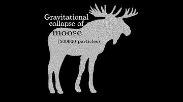 Gravitational collapse of a moose
