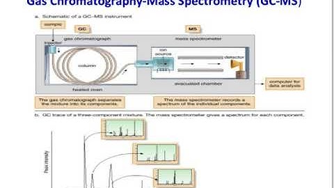 Hyphen newScreencast 2018 06 06 17:59:13