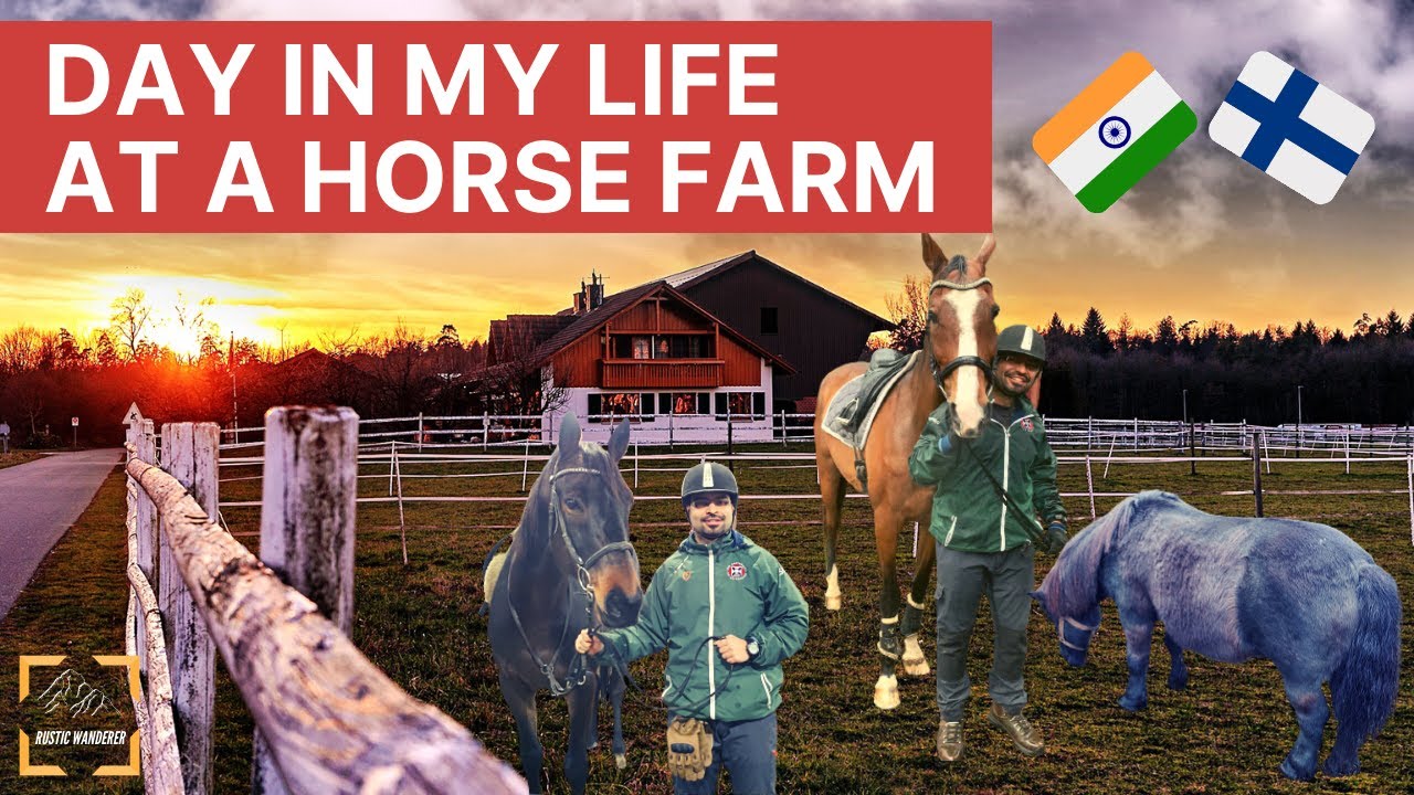Day in my life at a horse farm| The Rustic Wanderer - YouTube