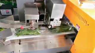 Automatic horizontal flow wrapping packing machine