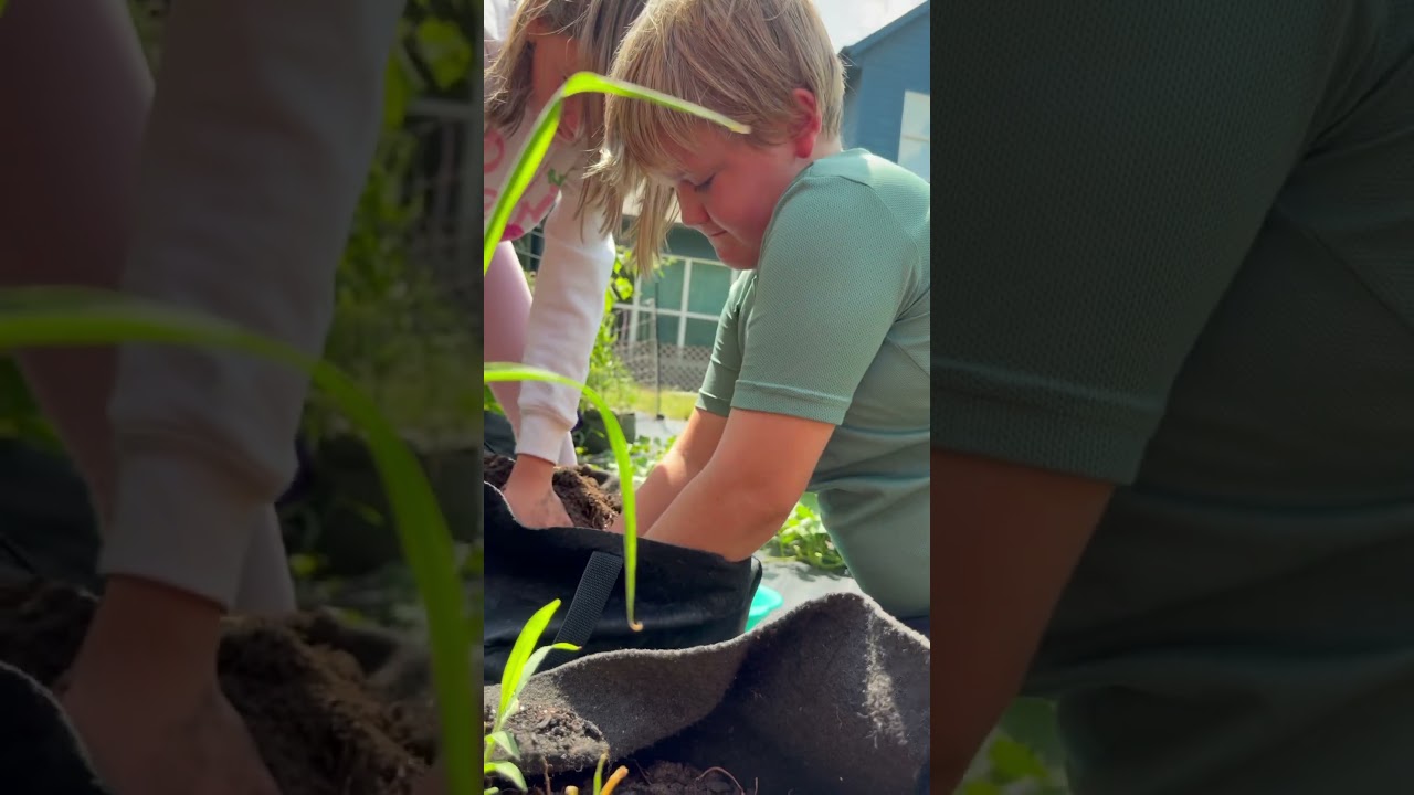 Uploads from From Seed to Spoon Garden Planning App