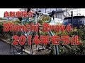 【自転車紹介】Bianchi Brava 2014年モデル