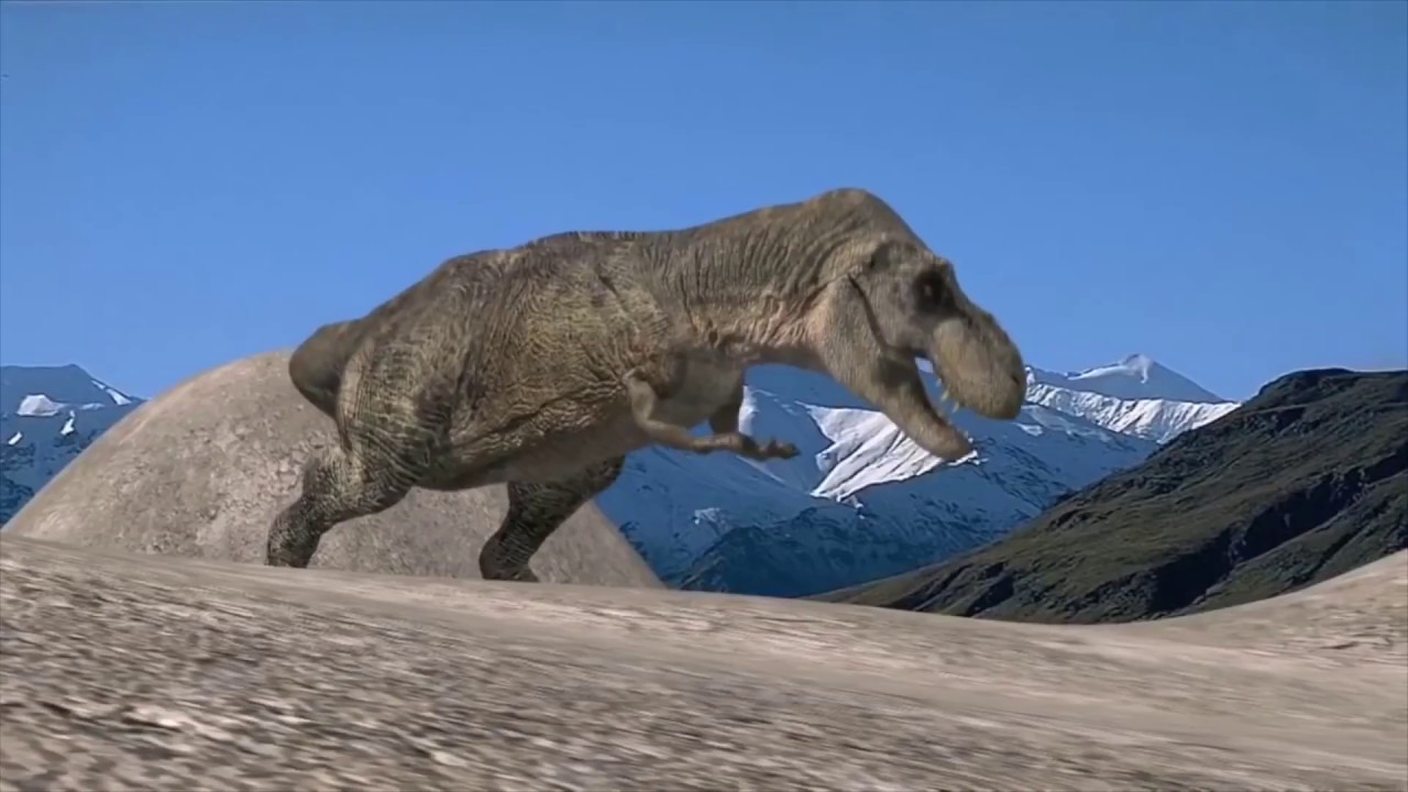 Динозавров дороги. Тираннозавр самец. Тираннозавр 2004. Тираннозавр 3д. Тиранозавр фото.